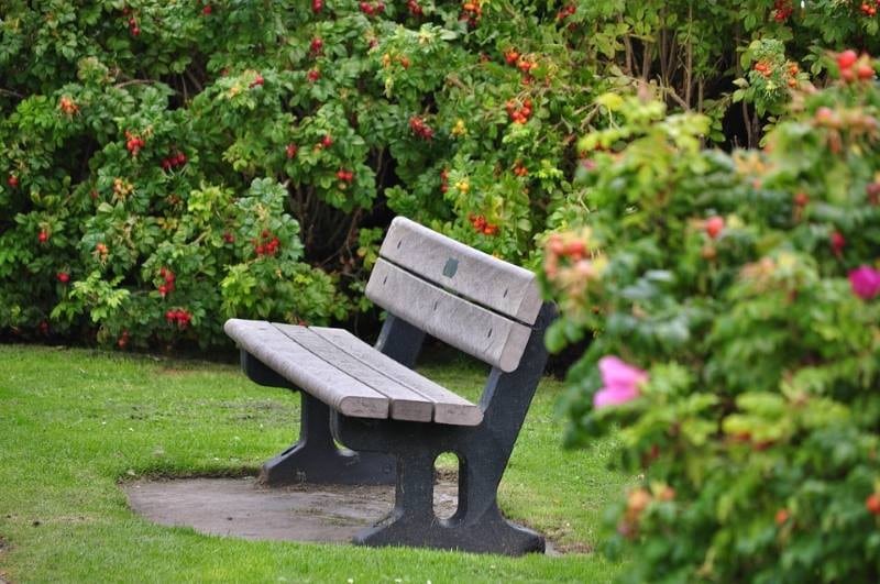 Садовые скамейки как элемент благоустройства: выбор, установка и уход
